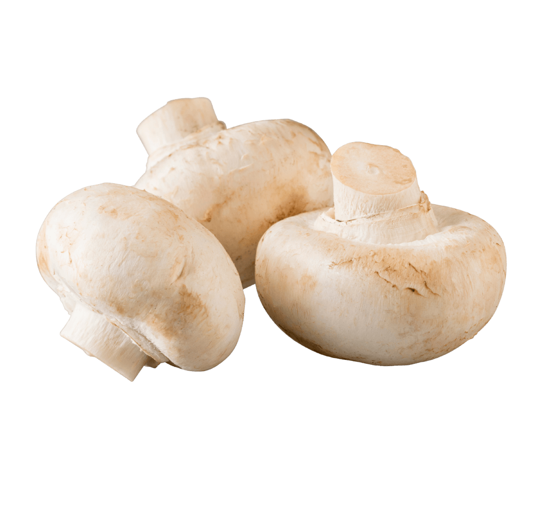 White Mushrooms